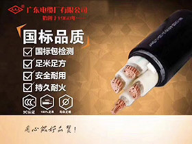 輻照交聯聚乙烯絕緣電力電纜系列YJV，YJV22，YJ(F)E，YJ(F)E22，FYJV，FYJV22