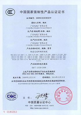 中國國家強制性產品認證證書7